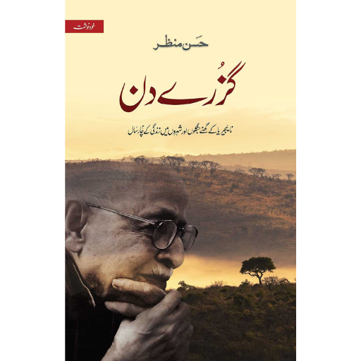 Guzre Din | Hasan Manzar